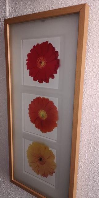 Glass picture 15 euros