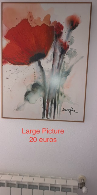 Large Poppy picture 20 euros