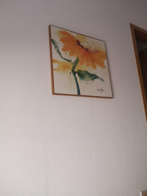 Large Sunflower picture 20 euros