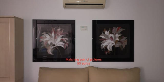 Pair of glass fronted pictures 50 euros