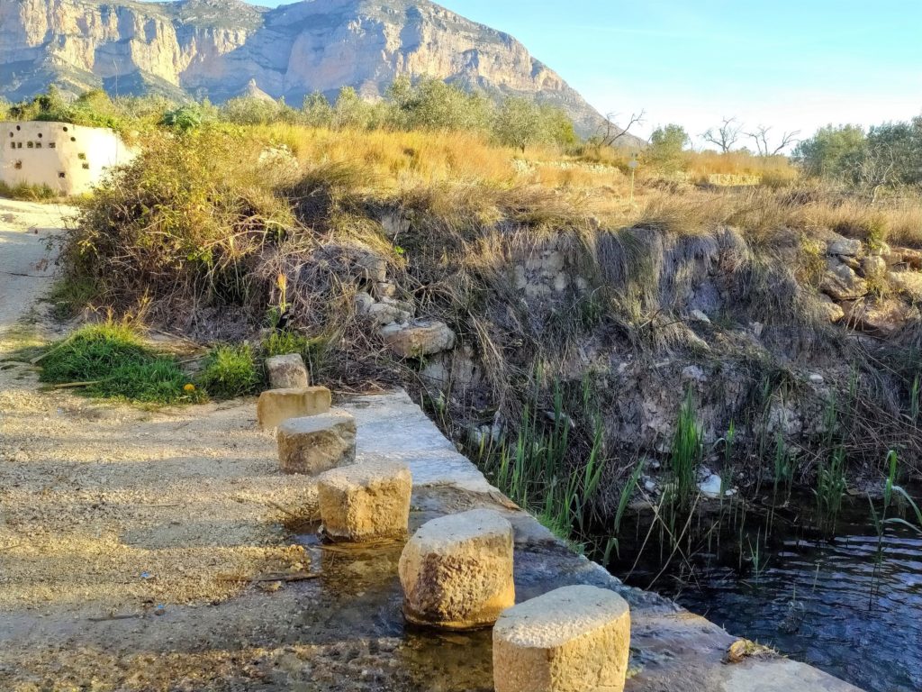 GataLaRanaFord Gata Residencial